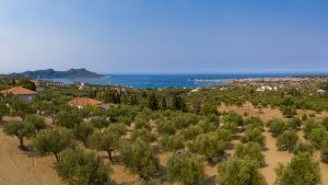 Dakry Olive - 6 Πλεονεκτήματα Της Συμβουλής : “Μια Κουταλιά Ελαιόλαδο Κάθε Πρωί”