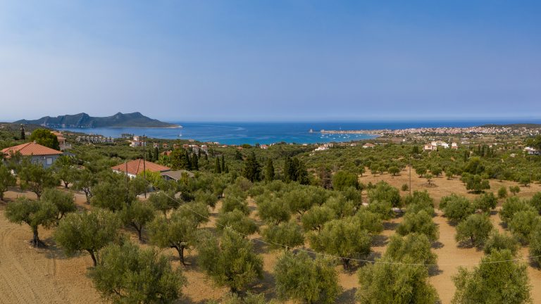 6 πλεονεκτήματα της συμβουλής : "Μια κουταλιά ελαιόλαδο κάθε πρωί" 15 Dakry Olive - 6 Πλεονεκτήματα Της Συμβουλής : “Μια Κουταλιά Ελαιόλαδο Κάθε Πρωί”