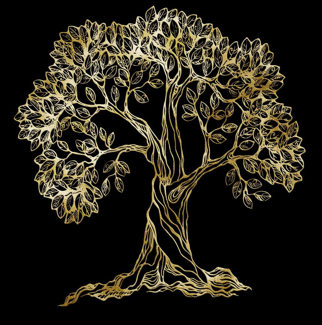 Dakry Olive | Drops of Nature